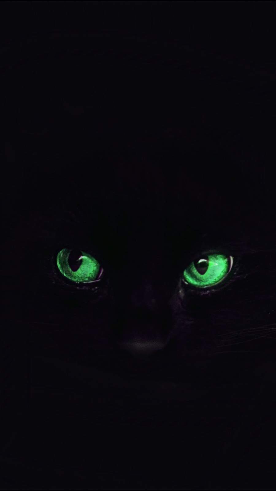 900x1600  black Cat Eyes обои для iPhone - обои для iPhone: обои для iPhone 