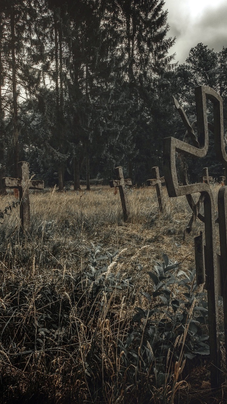 750x1334   Graveyard Фотографии, скачать бесплатно на кладбище стоковые фотографии \ U0026 HD Images