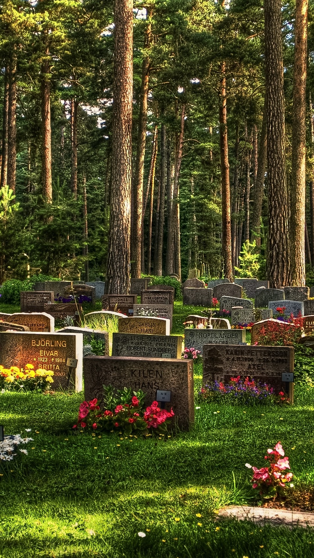 1080x1920  1242x2688 Монохромный iPhone xs Iphone xs, HD Другие 4K Wallpaper, изображения, фотографии и фоновый 1906: Тарборо… | Flickr