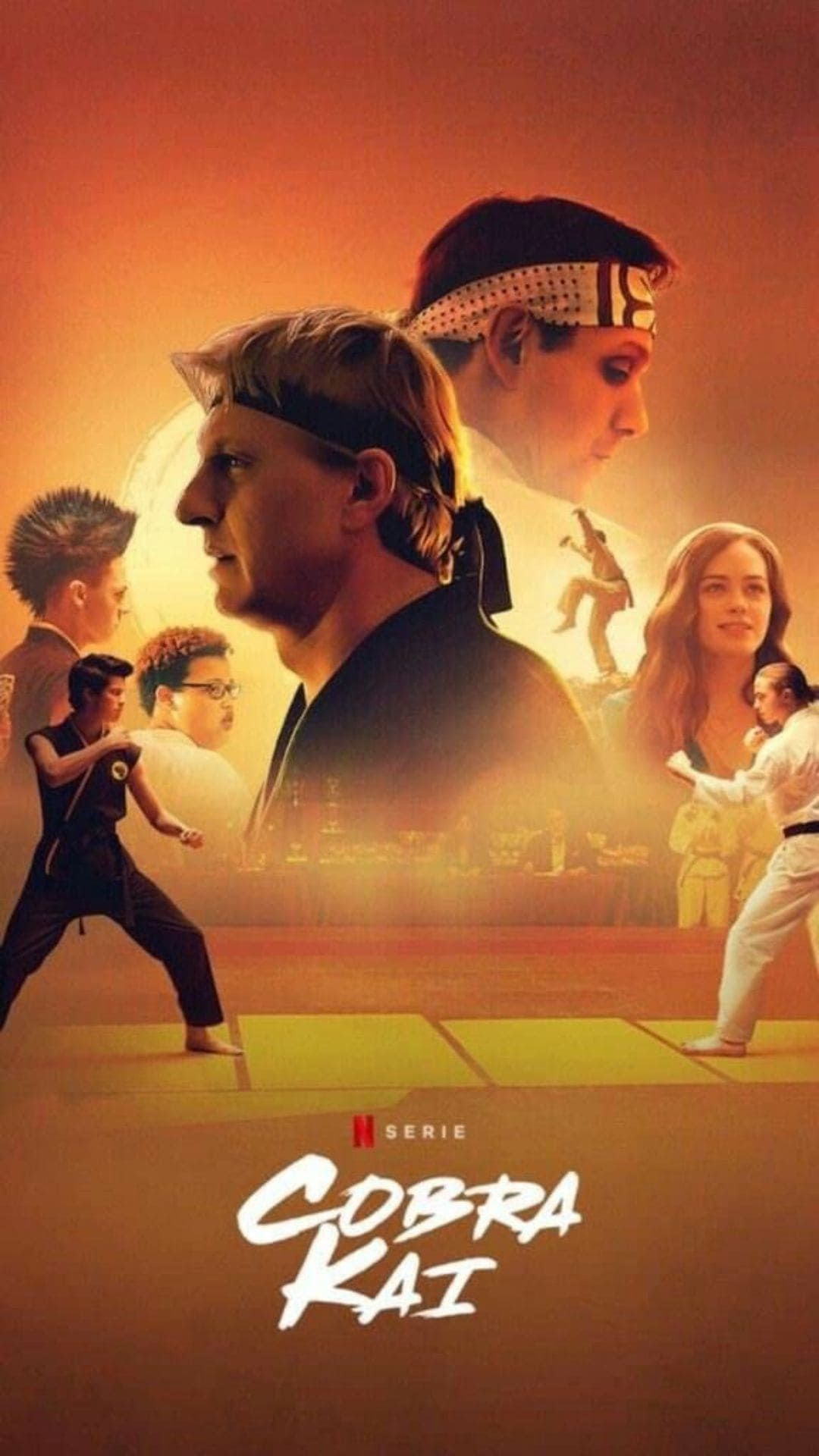 1080x1920   Cobra Kai 06, Netflix, TV, HD Телефон Обои | Peakpx