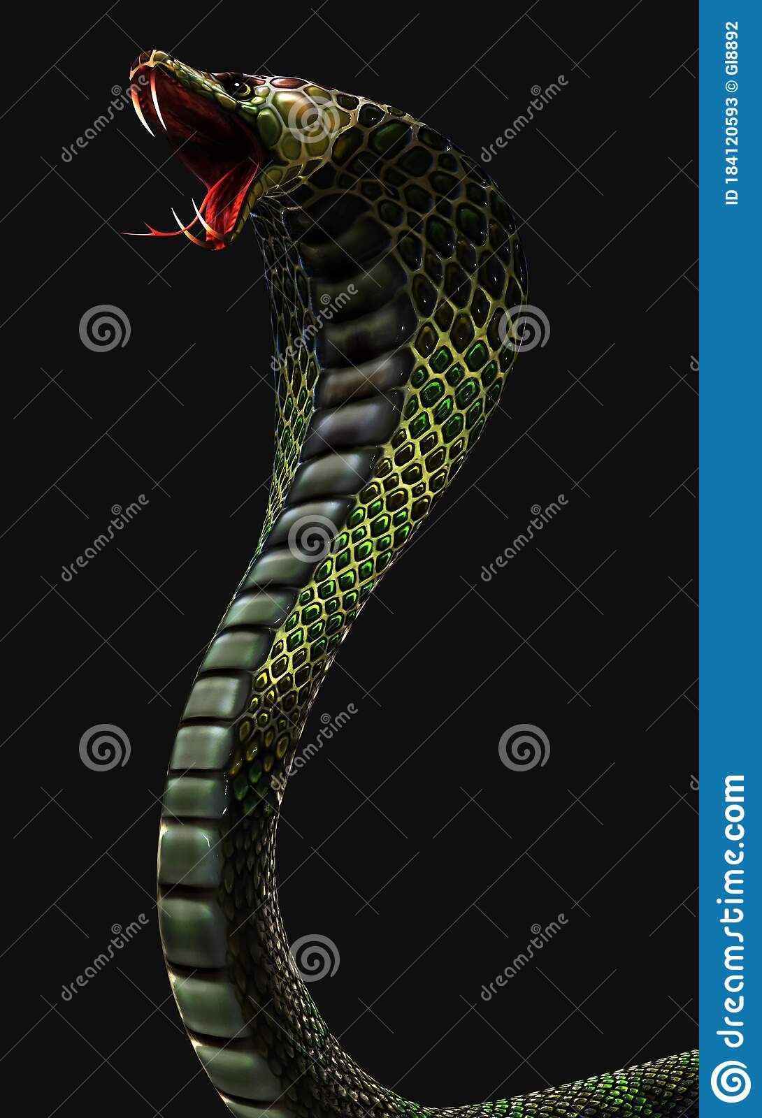 1090x1600   Скачать обои 1350x2400 Cobra, Snake, Scales, Wildlife iPhone 8+/7+/6S+/6+для Parallax HD фоновое Peakpx