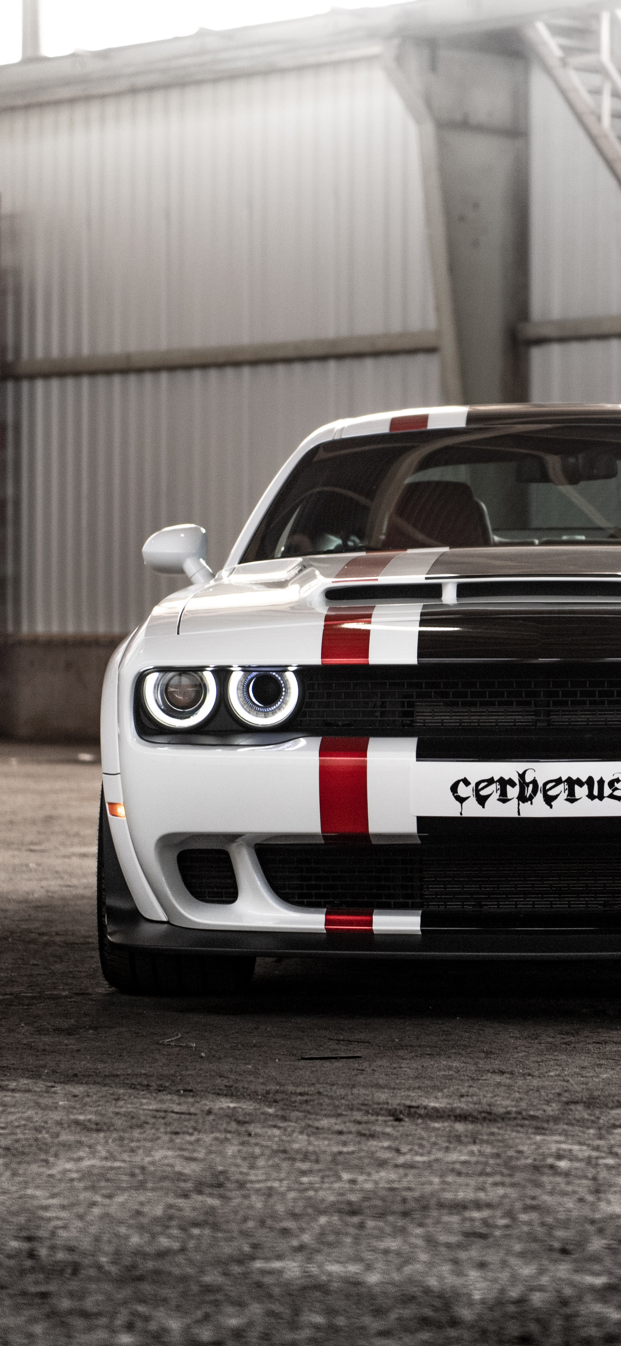 1242x2688  mytheon Cerberus, Греческая мифология iPhone HD Телефон Обои | Pxfuel