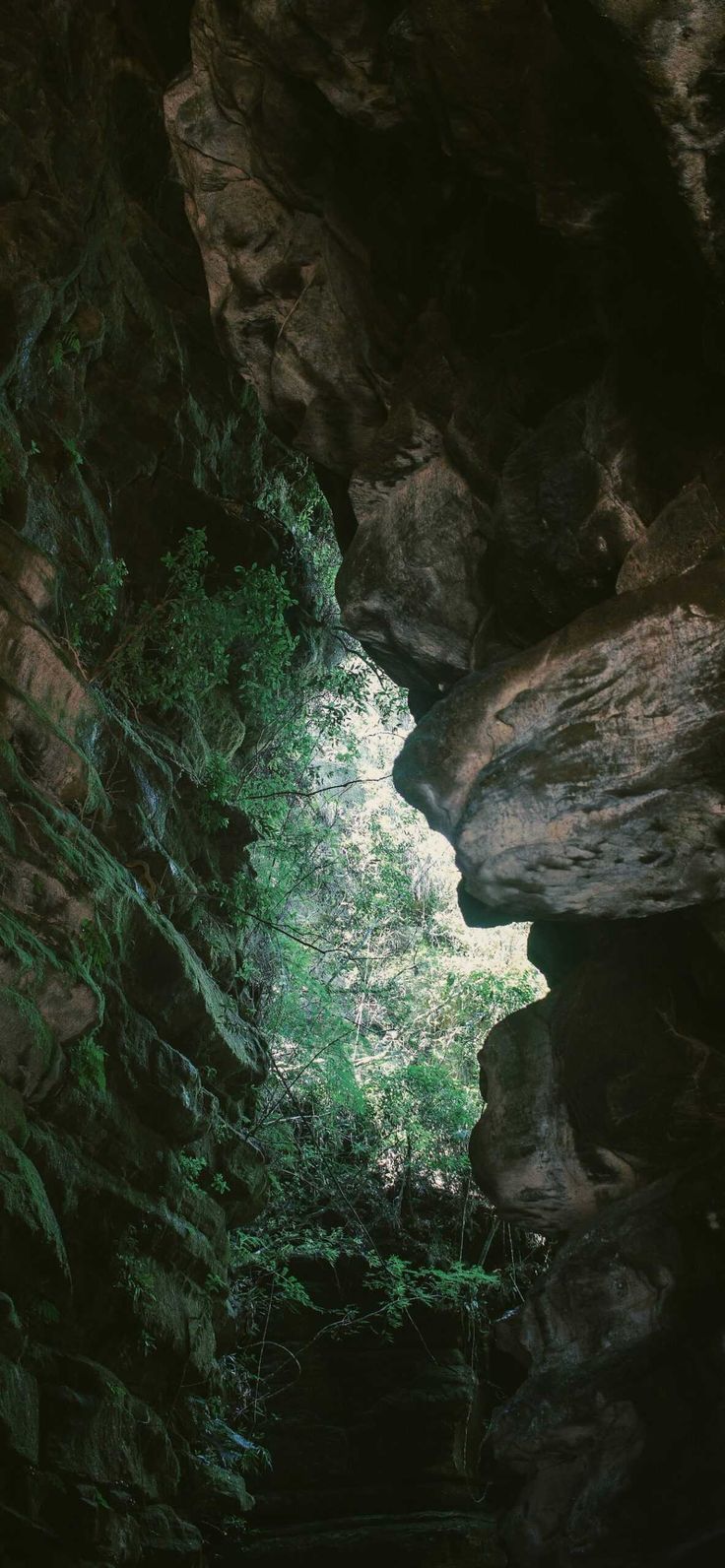 736x1592   Кейв. Изучите больше пещеры, утеса, глубокие, земля, натуральные обои. https: //www.whatspaper.c… | Лесные обои iPhone, Nature iPhone обои, натуральная пещера 