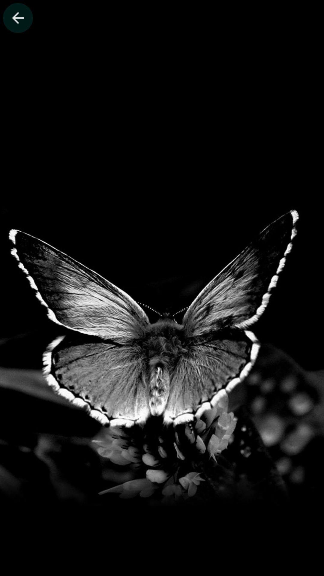 1080x1920  download обои HD Dark Theme - 4K Black Wallaper для Android для рабочего стола или мобильного устройства. Сделать… | Android wallpaper black, Black wallpaper, Hd  dark wallpapers