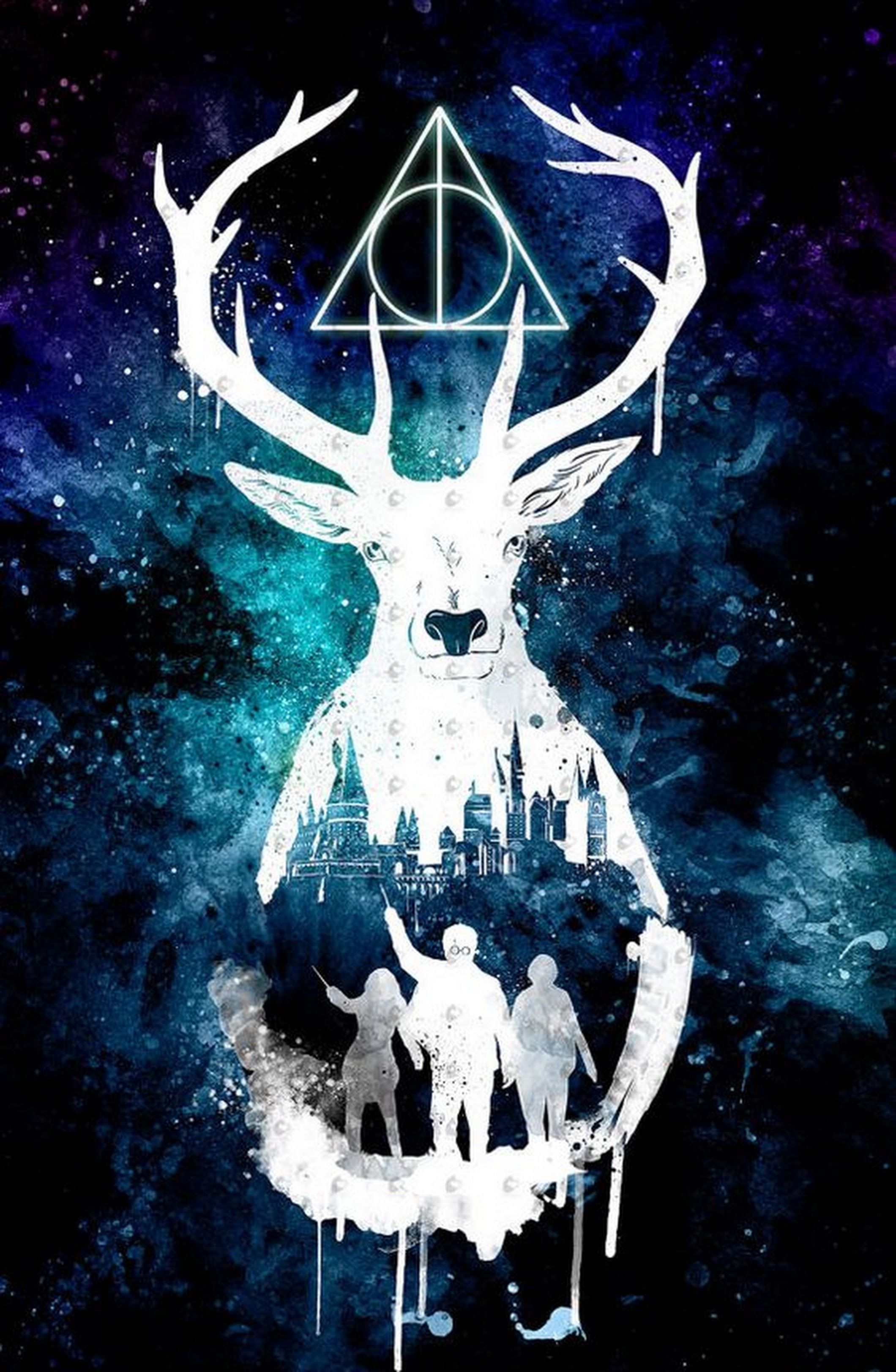 2120x3248  harry Potter, Hogwarts Legacy, HD обои | Peakpx