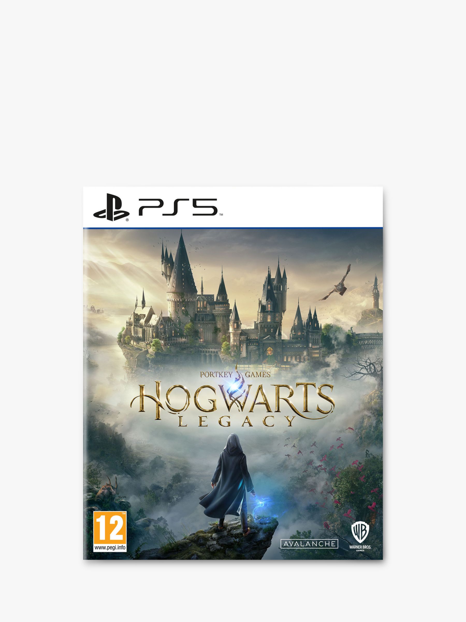 Hogwarts legacy ps4 turkey фото 117