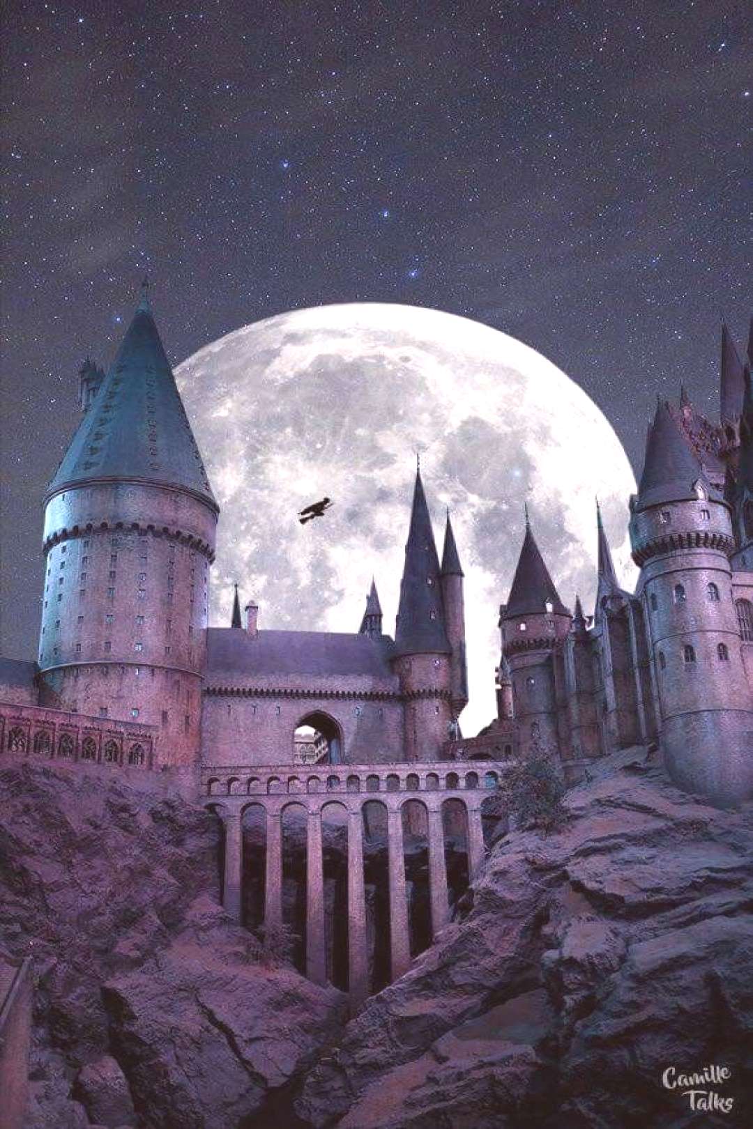 1080x1620  free Harry Potter Hogwarts Iphone Загрузки обоев, [100+] Гарри Поттер Хогвартс Обои для iPhone бесплатно | Wallpapers.com 
