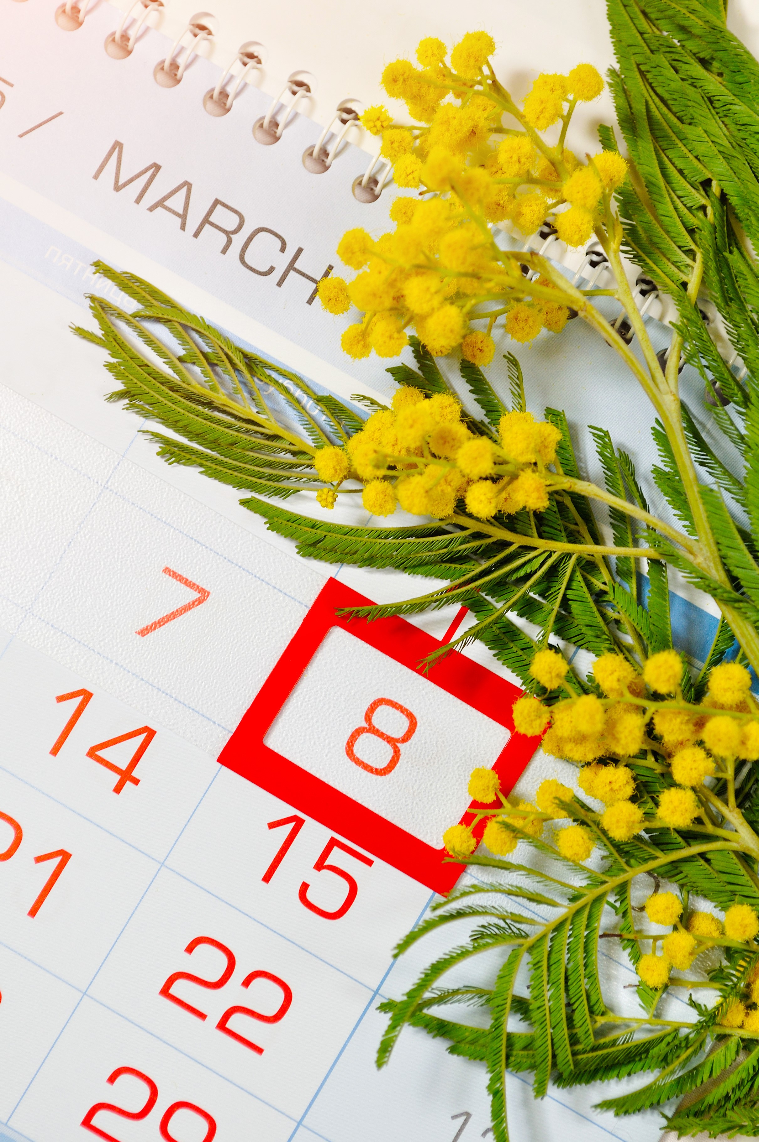 2421x3645  pin от Daria Russ на календарных обои | Календарные обои, обои для iPhone, котировки для iPhone hd