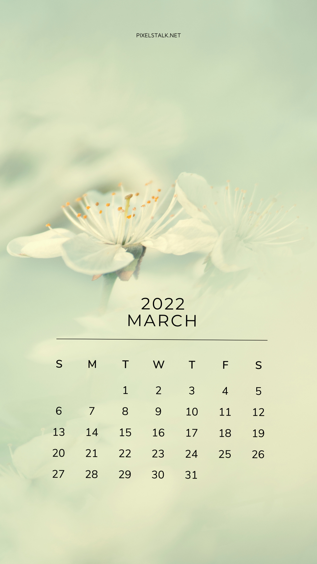 1080x1920   Best Pattern iPhone 8 HD обои - ilikewallpaper