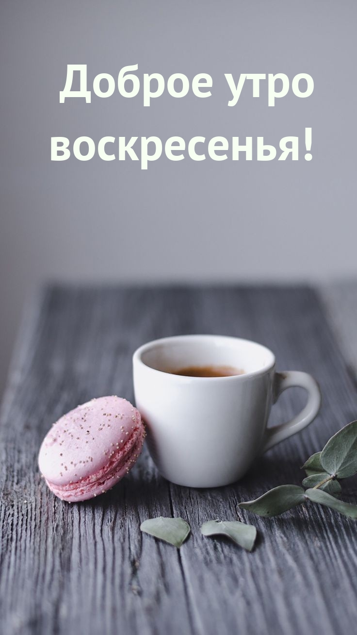 736x1308  Доброе утро #открытки #сдобрымутром | TikTok