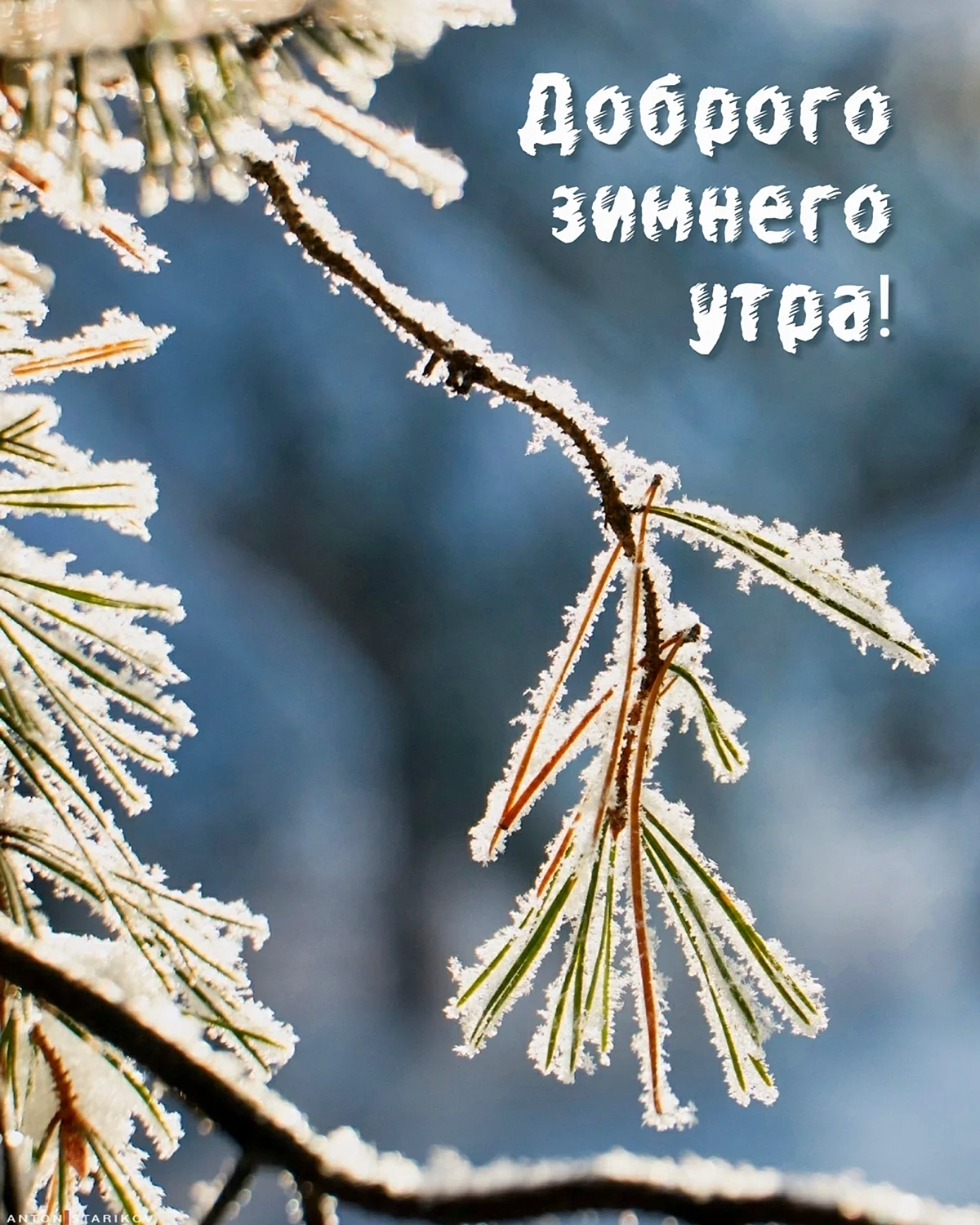 1200x1500   А. А.А. -Купит в ИНЕРНЕТ-МАГАГАЙНЕПОНЕПОМКЕКОВОМ #1 февраля #👋🤗😘💃⚘ #sperwrwhmdemferalal #wham ... | TikTok