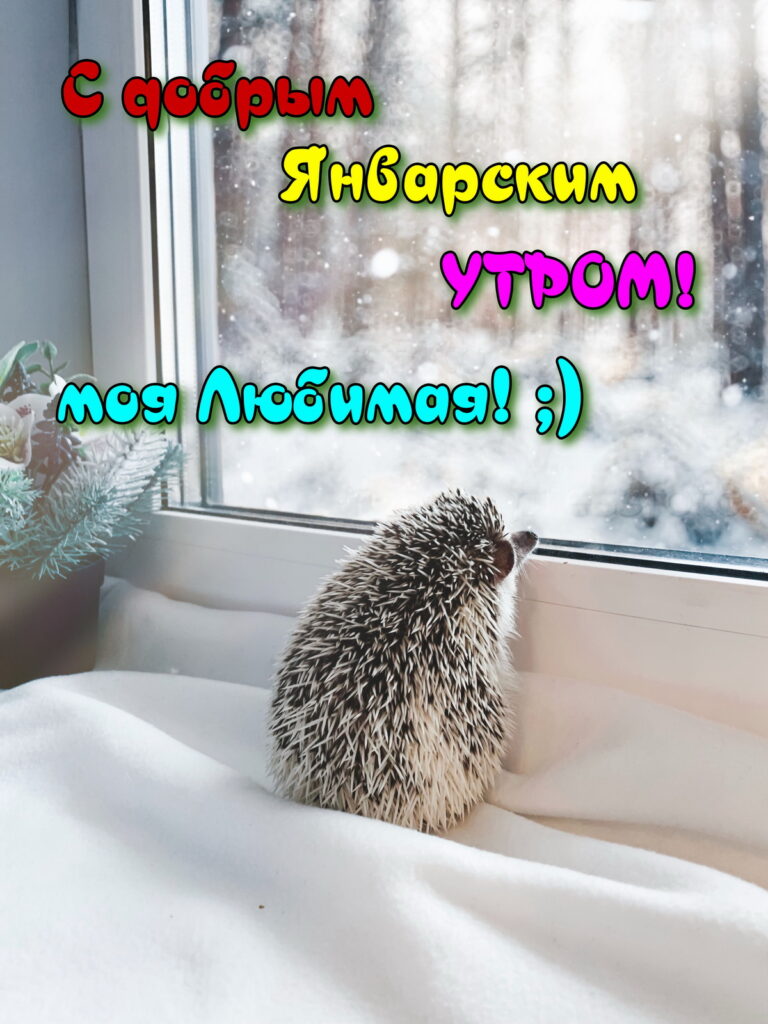 768x1024  Картинки \"С добрым утром и хорошего дня!\" (541 шт.)