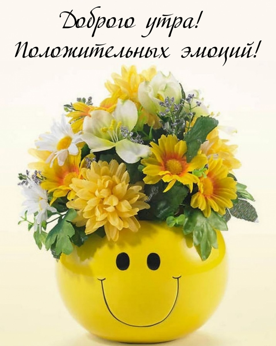 960x1200  Доброе утро, друзья. Отличного, зимнего денька. Прекрасного настроения... |  TikTok