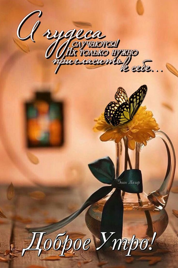 736x1104  220 зимних картинок с добрым утром