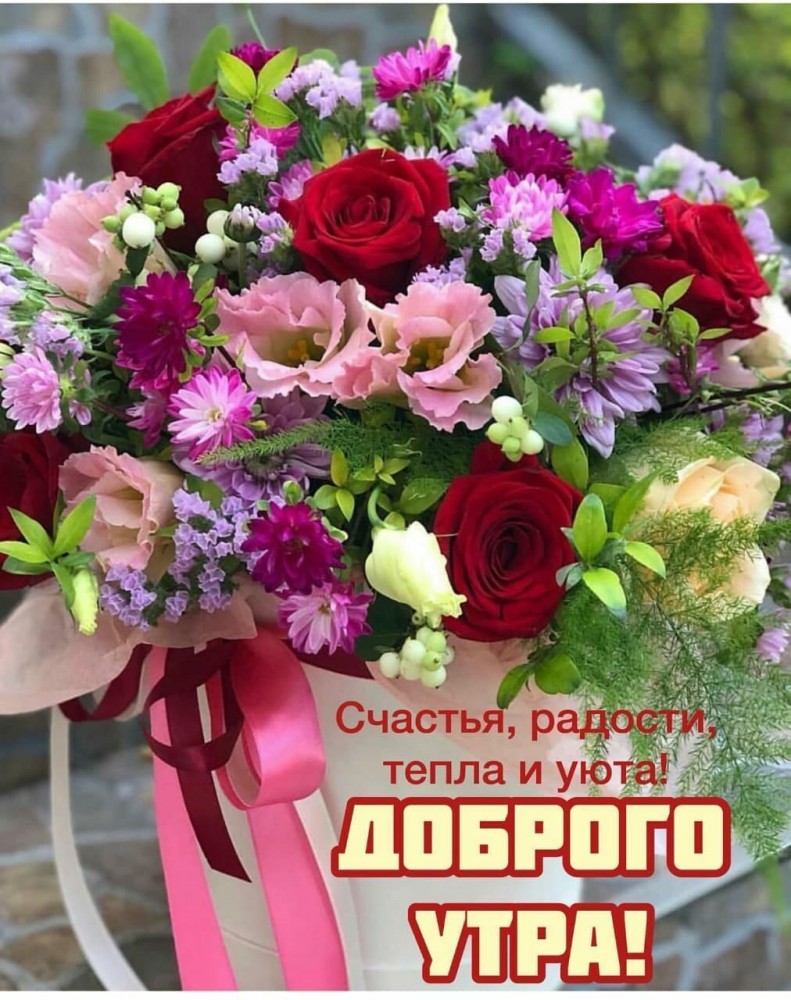 791x1000  Красивые картинки \"Доброе утро среды!\" - уникальная коллекция