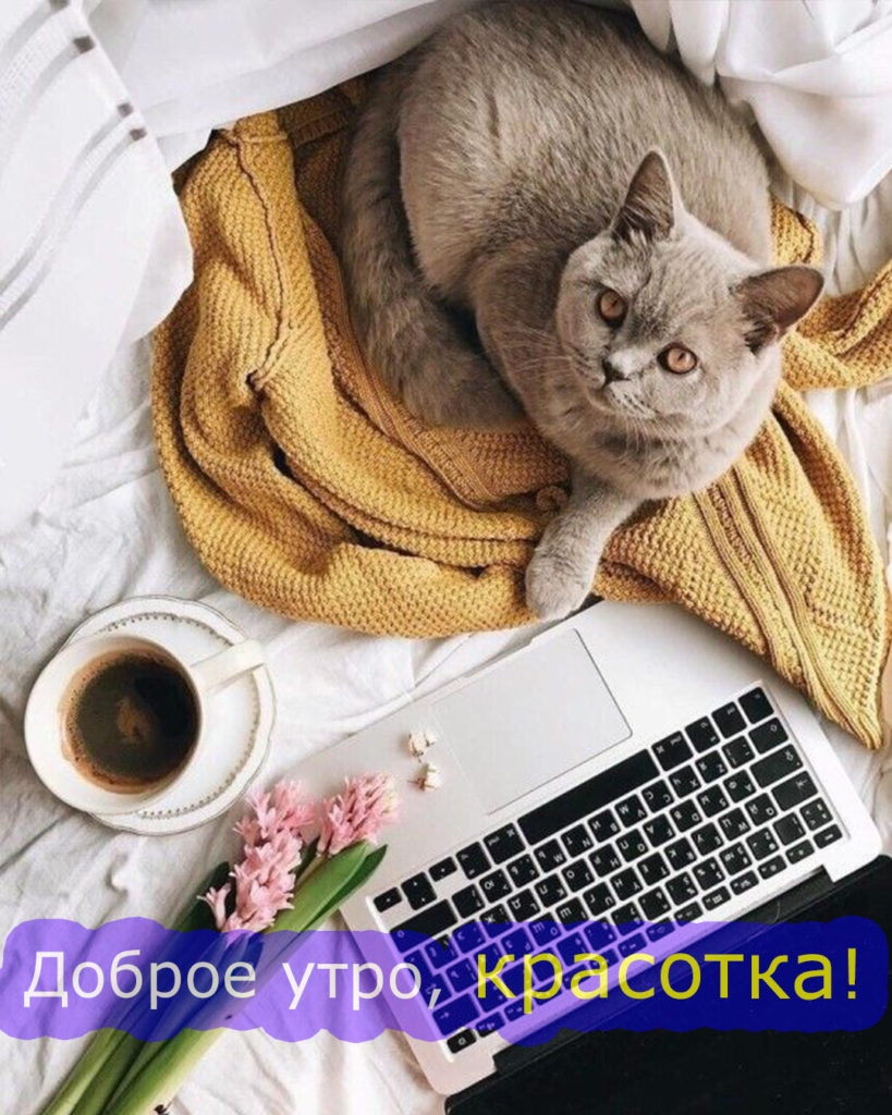 819x1024  Картинки с надписями. Доброе утро! Бужу по утрам . Возможны варианты:.