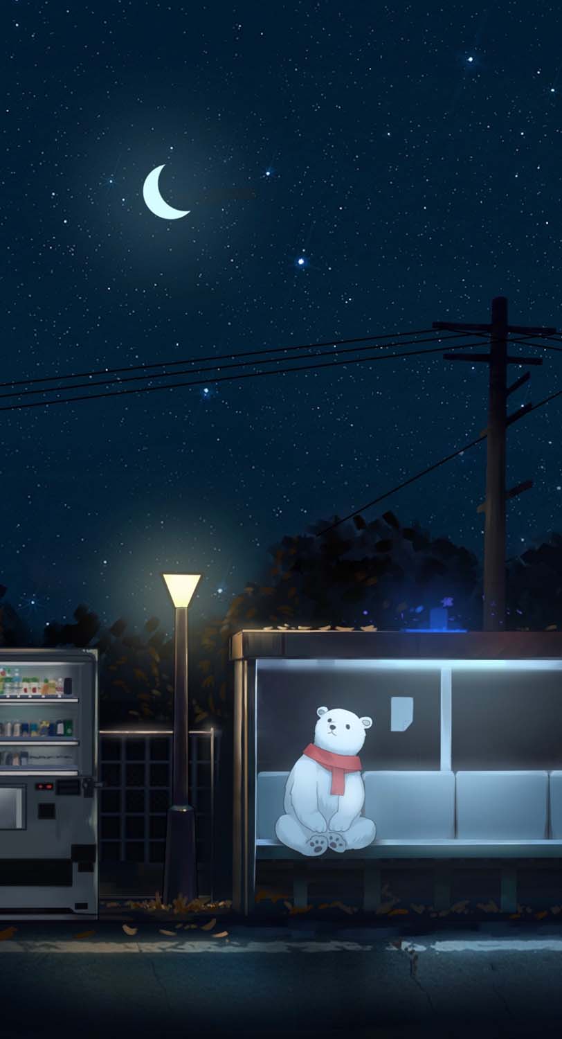 812x1500  Night для мобильного [] для вашего, мобильного планшета \ U0026. Изучите ночь. Ночь, Рождественская ночь, вечер фейерверка, Ночь природы HD Телефон Обои | PXFEULE