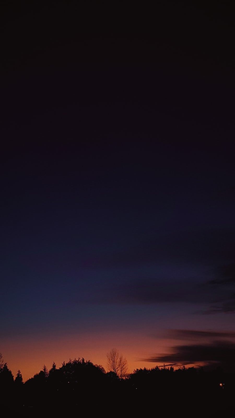 900x1599   500+ City Night Pictures [HD] | Скачать бесплатные изображения на обои unsplash