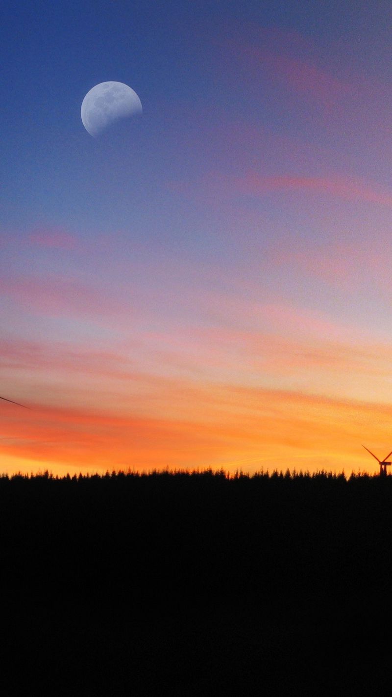 800x1420  астетические вечерние обои - топ -бесплатные эстетические вечерние фоны - WalpaperAccess