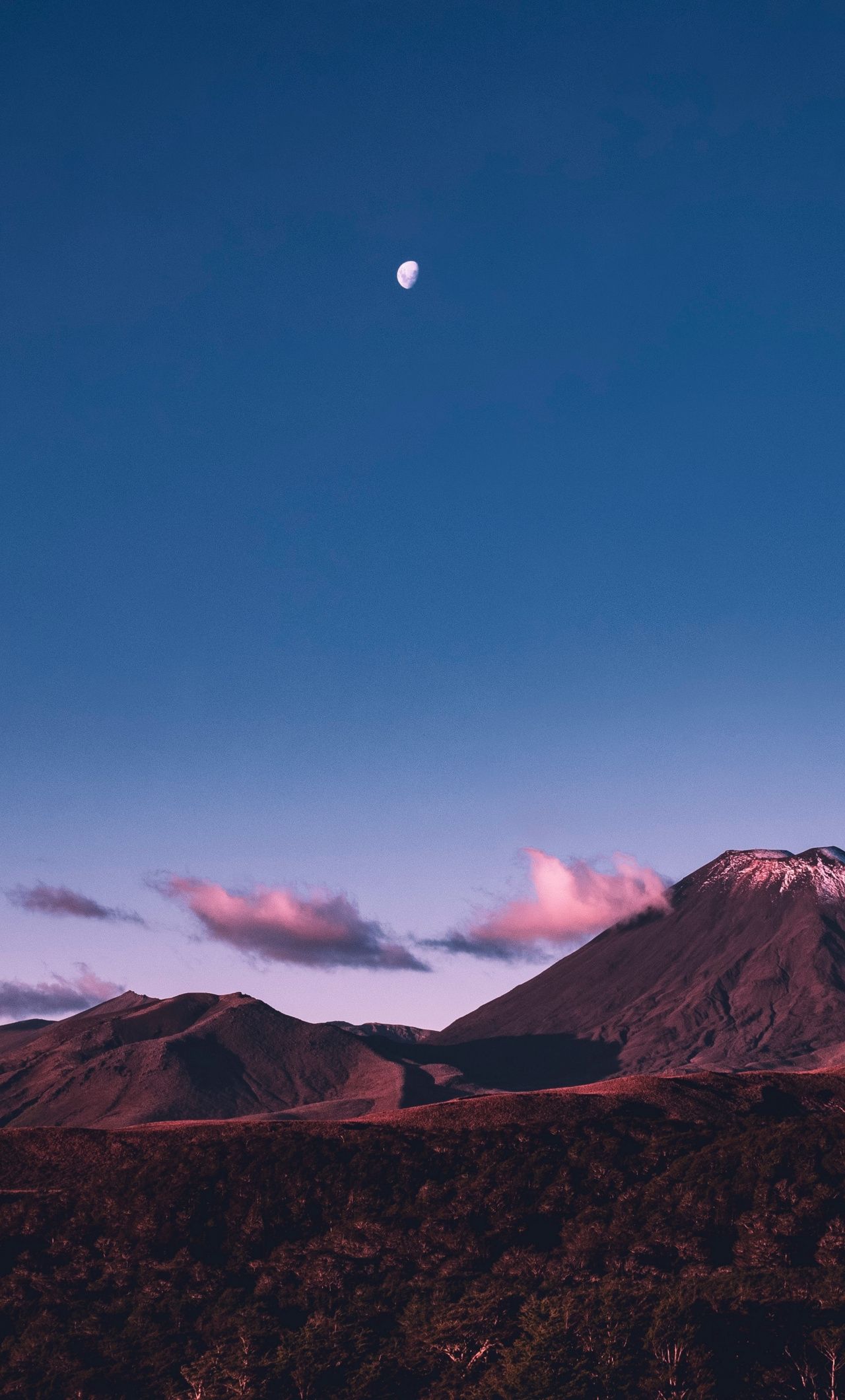 1280x2120   Night Beach Wallpaper 08904 - Baltana