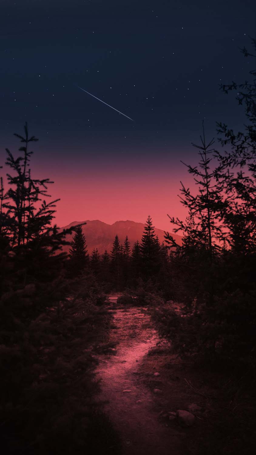 844x1500   Wallpaper River, 4K, HD Обои, море, ладони, ночная, луна, CLOWDS, Nature #5714 