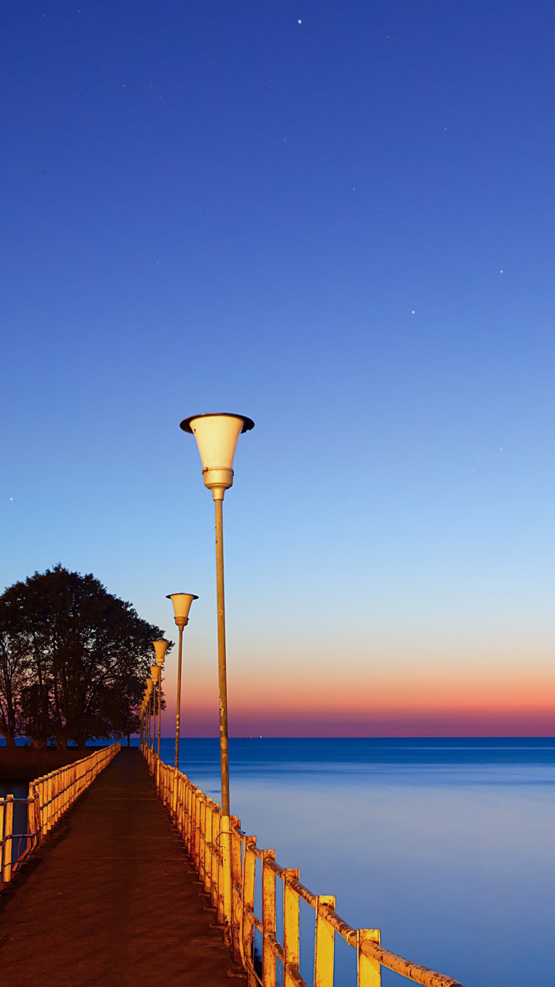 1080x1920  Evening Birds Wallpaper HD - обои для iPhone: обои для iPhone 