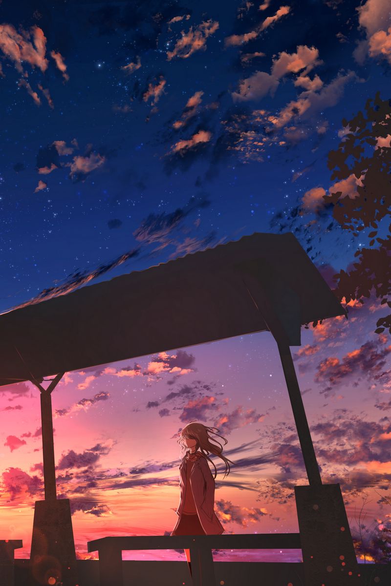 800x1200  _, ночной, тяжелый дождь, дождь, Умбрелла, мост, вода, 16261