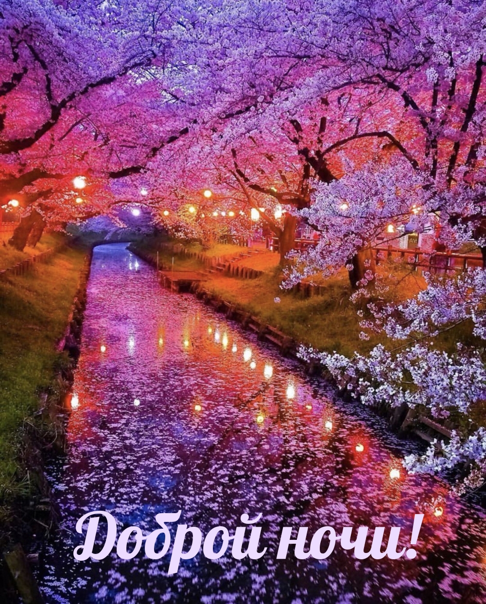 1000x1243  Спокойной ночи картинки - как пожелать сладких снов — УНИАН