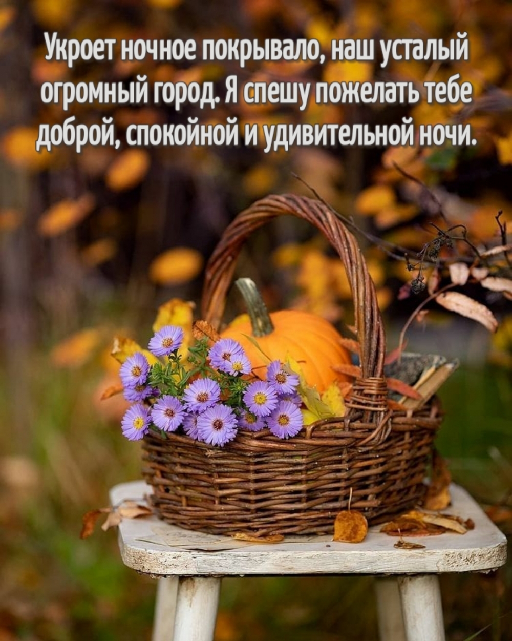 1000x1251  https://vk.com/public133677955