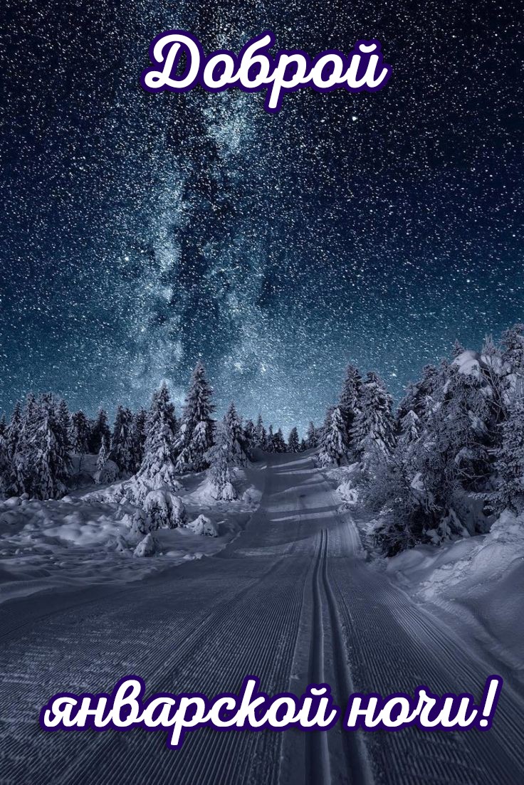 736x1103   doebroй nnoshy, raзbiotoe serdцe. Колыбельная для твоей истерзанной души, Алина  Ермолаева – скачать книгу fb2, epub, pdf на Литрес