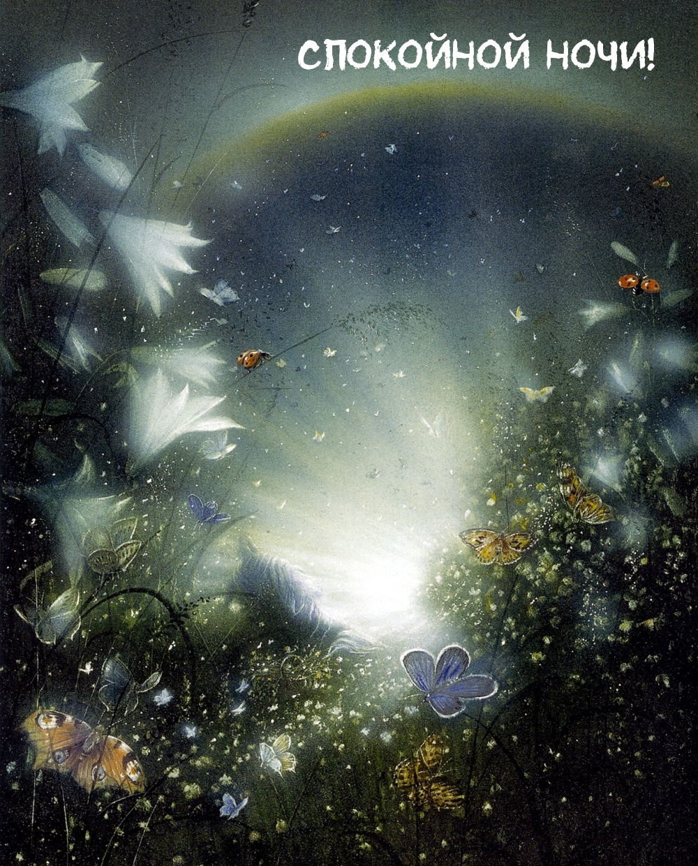 1000x1241  Картинка: Сладких снов и доброй ночи!