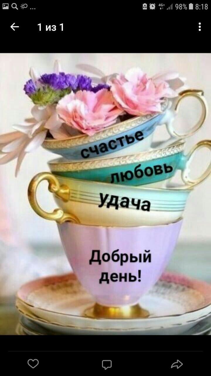 720x1280   Картиньки. ДОБАВИТЕ, ОТРЕКО, КОНТРЕВО, ИТРЕННИЕ, ОТРЕЙНЕСА | Растения, доброе утро, добрый день 