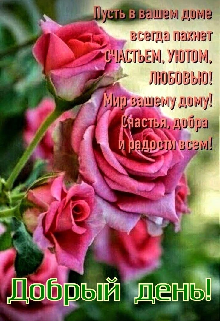 736x1076  https://gagaru.club/15044-krasivye-otkrytki-dobryj- den-zima.html 