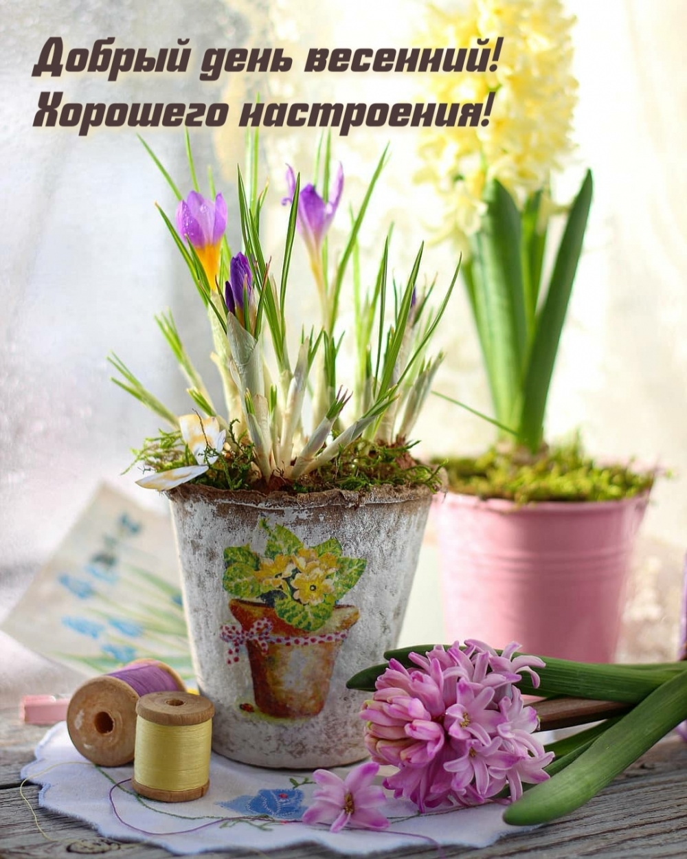 1000x1250  Скачать Добрый день APK для Android