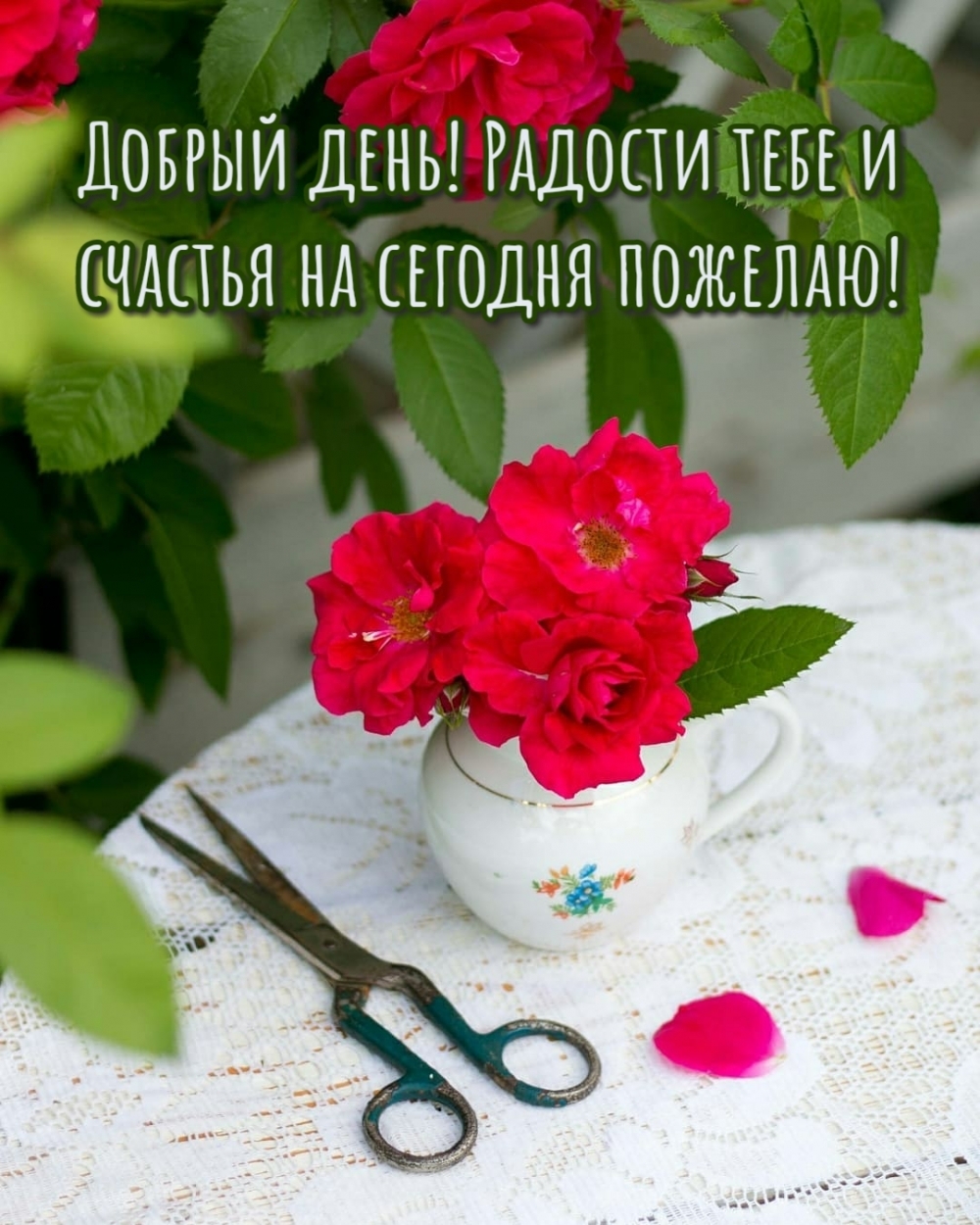 1000x1250   Дейбр -де -дневник в положениях - 89 футо. Tiktok