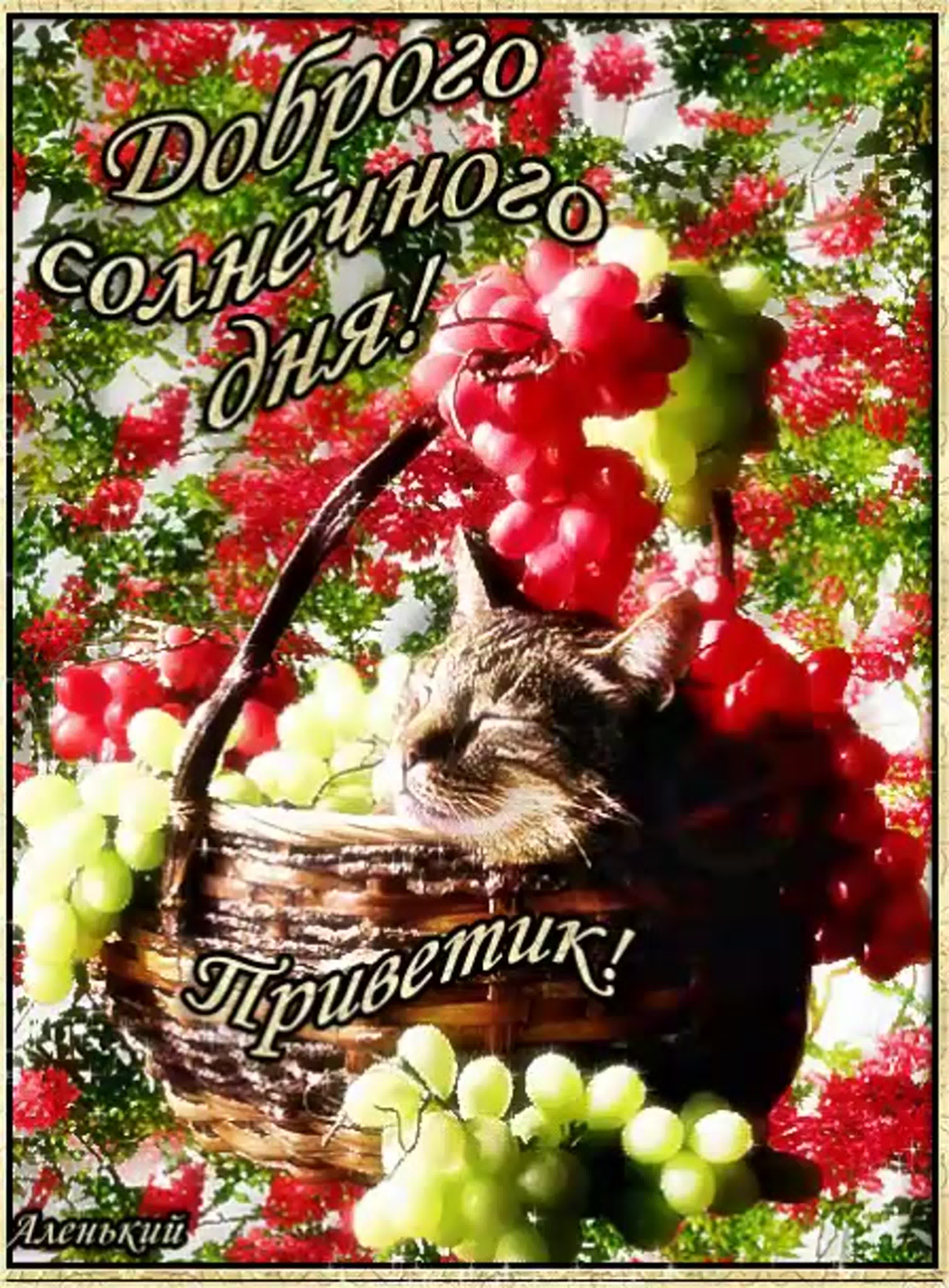 3018x4096  Чай Добрый день ассам с травами,2 шт*75г Фабрика Здоровых Продуктов  10474493 купить в интернет-магазине Wildberries