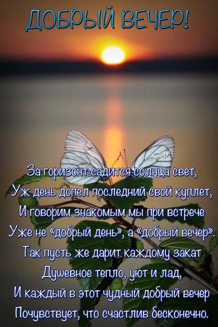 736x1104  Социальный портал «Добрый день» отмечен дипломом Национальной премии  «Гражданская инициатива» | Gk «nordavynded» 