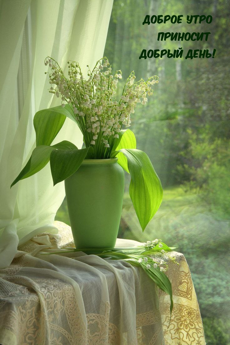 736x1104  Добрый день - Добрый день updated their cover photo.