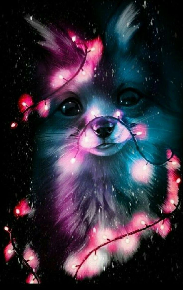 736x1161  cute Cartoon Animal Animal Walpapers - Топ бесплатный милый мультфильм животных iPhone фоны - Wallaperaccess