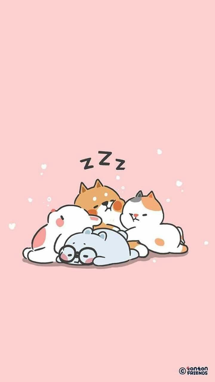 720x1280   Симпатичные обои для животных - топ бесплатный милый фон животных - Walpaperaccess