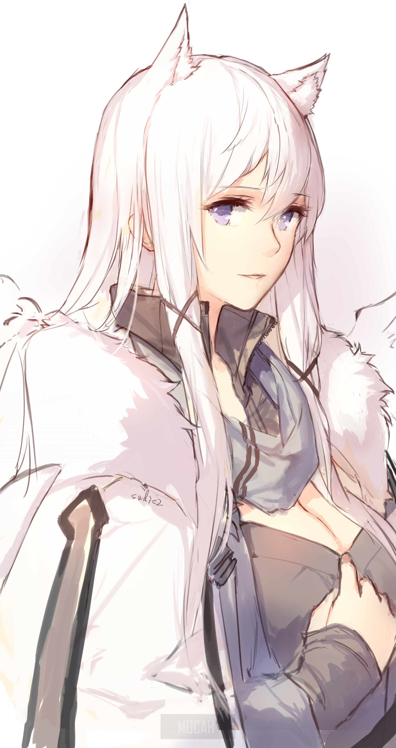 1588x3000  cute Big Bear Cartoon Cartoon Mobile Faine, прекрасные животные, милый фон, телефона обоев, фоновый изображение бесплатно скачать 