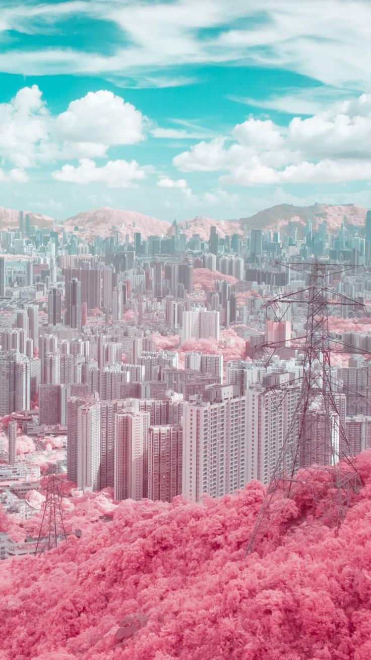 736x1308  Anime City Phone HD обои | Pxfuel