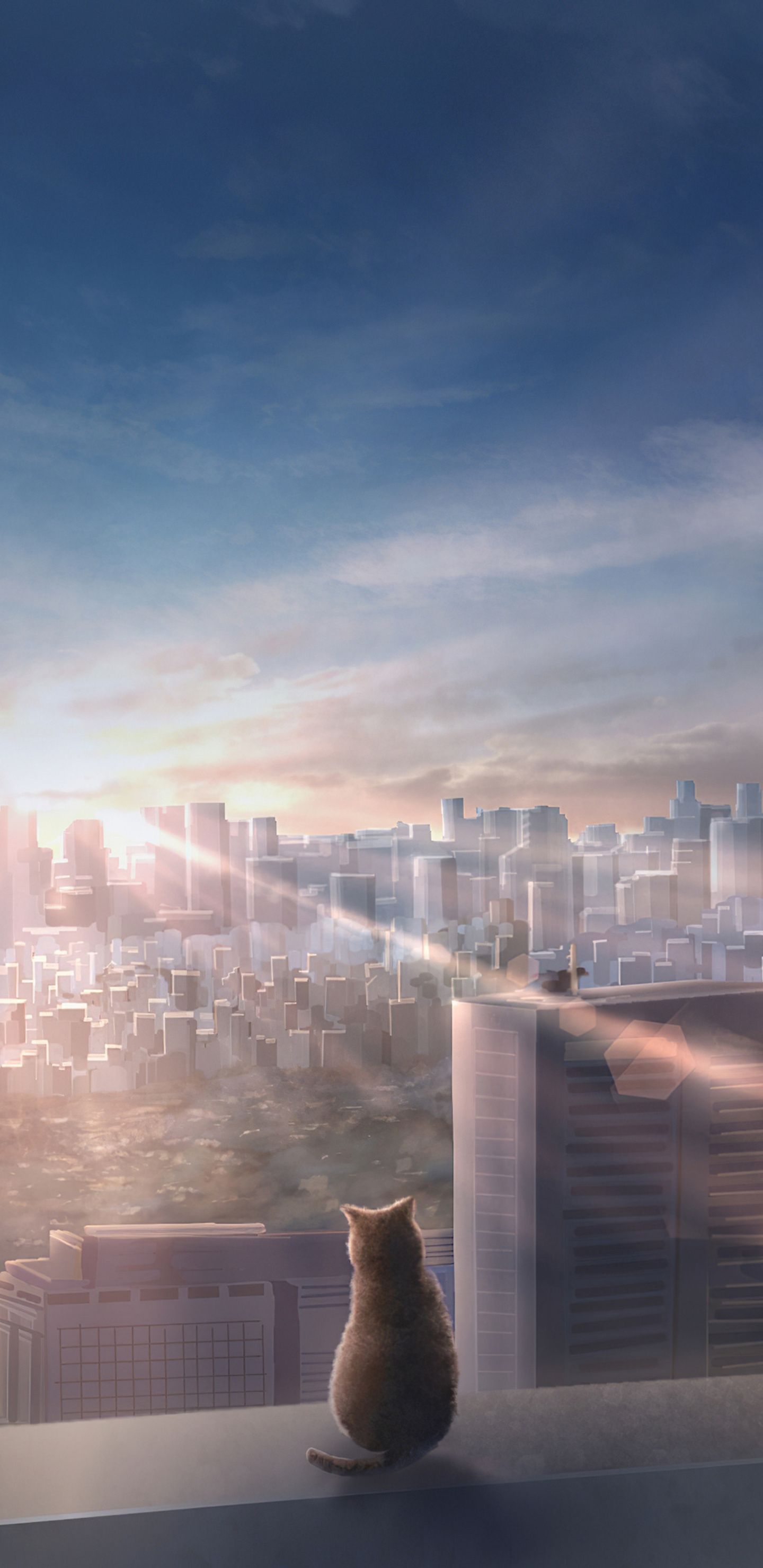 1440x2960   Анимированные кошки Обои - обои пещера 