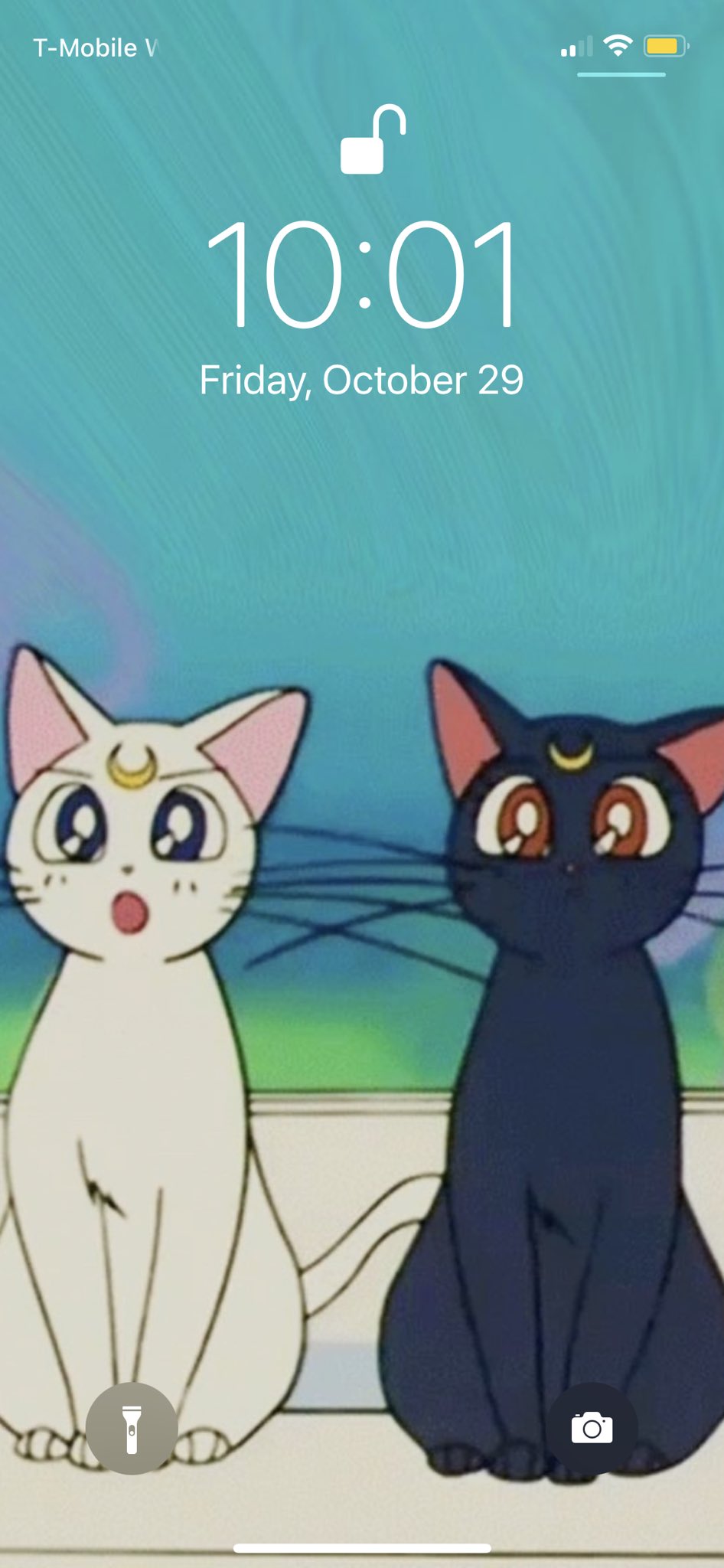 946x2048  CAT обои изображения - бесплатно скачать на Freepik 