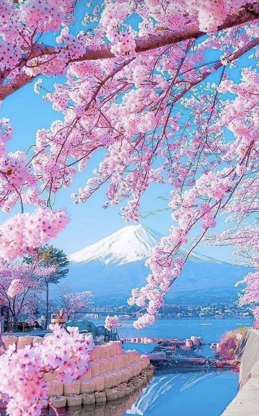 828x1329  AESTHETIC ANIME IPHONE WALPAPERS - PIXELSTALK.NET 