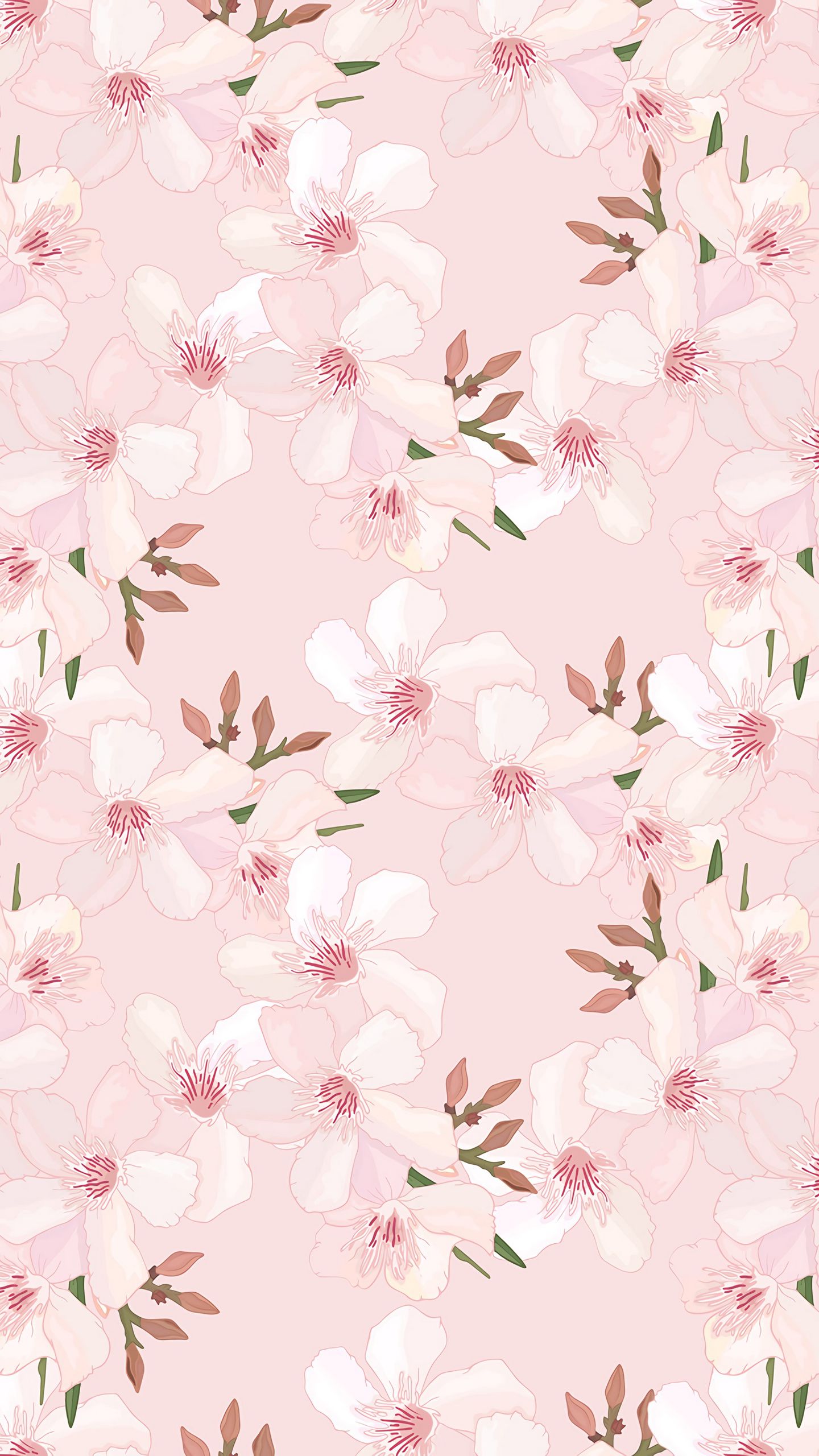 1440x2560   Download JDM Legends HD HD от Crizinp | Обои-hd.com в 2021 году | Розовые обои аниме,… | Прохладные аниме обои, розовые обои аниме, милые аниме обои 