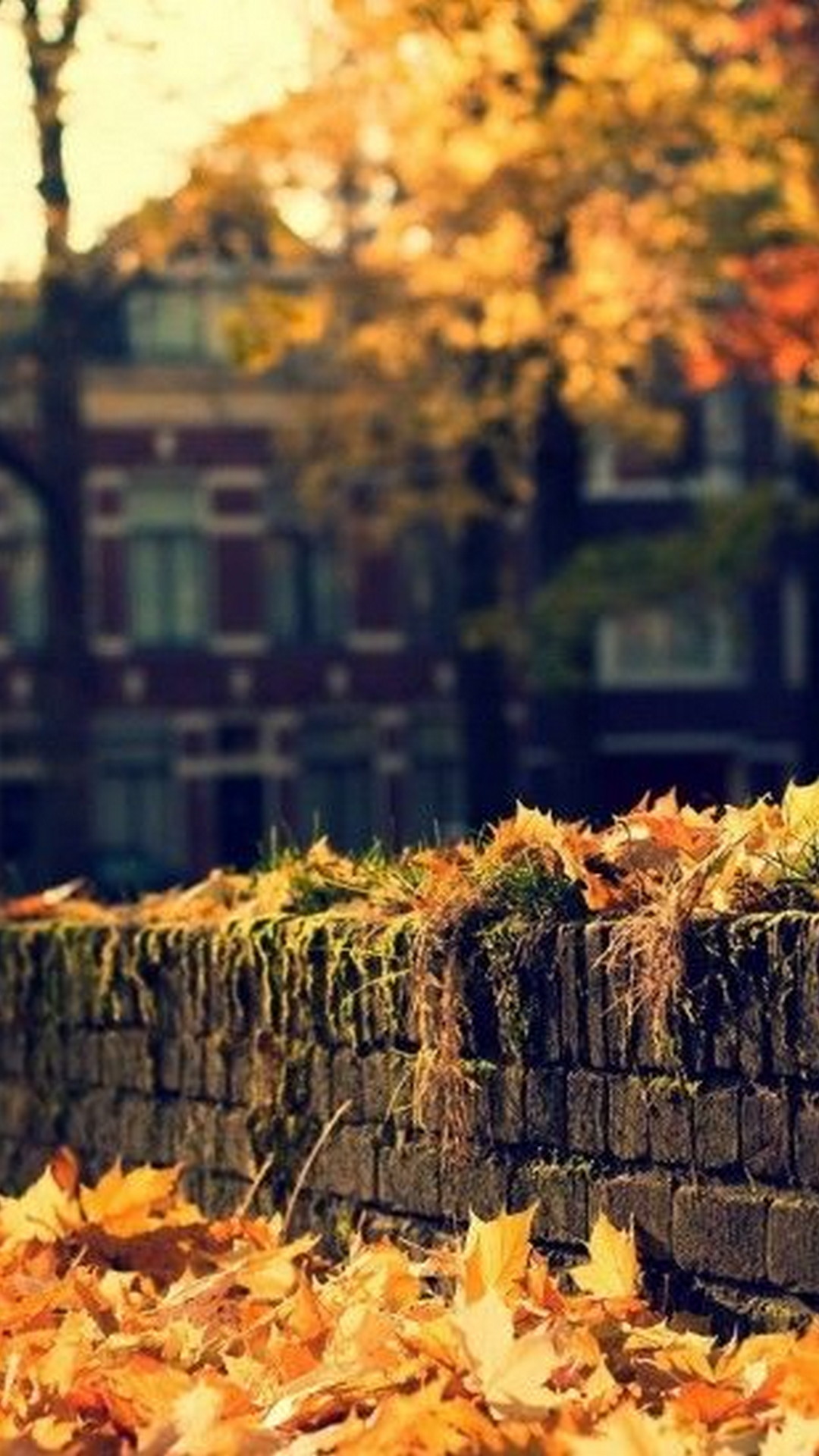 1080x1920   Best осень iPhone x HD обои - ilikewallpaper
