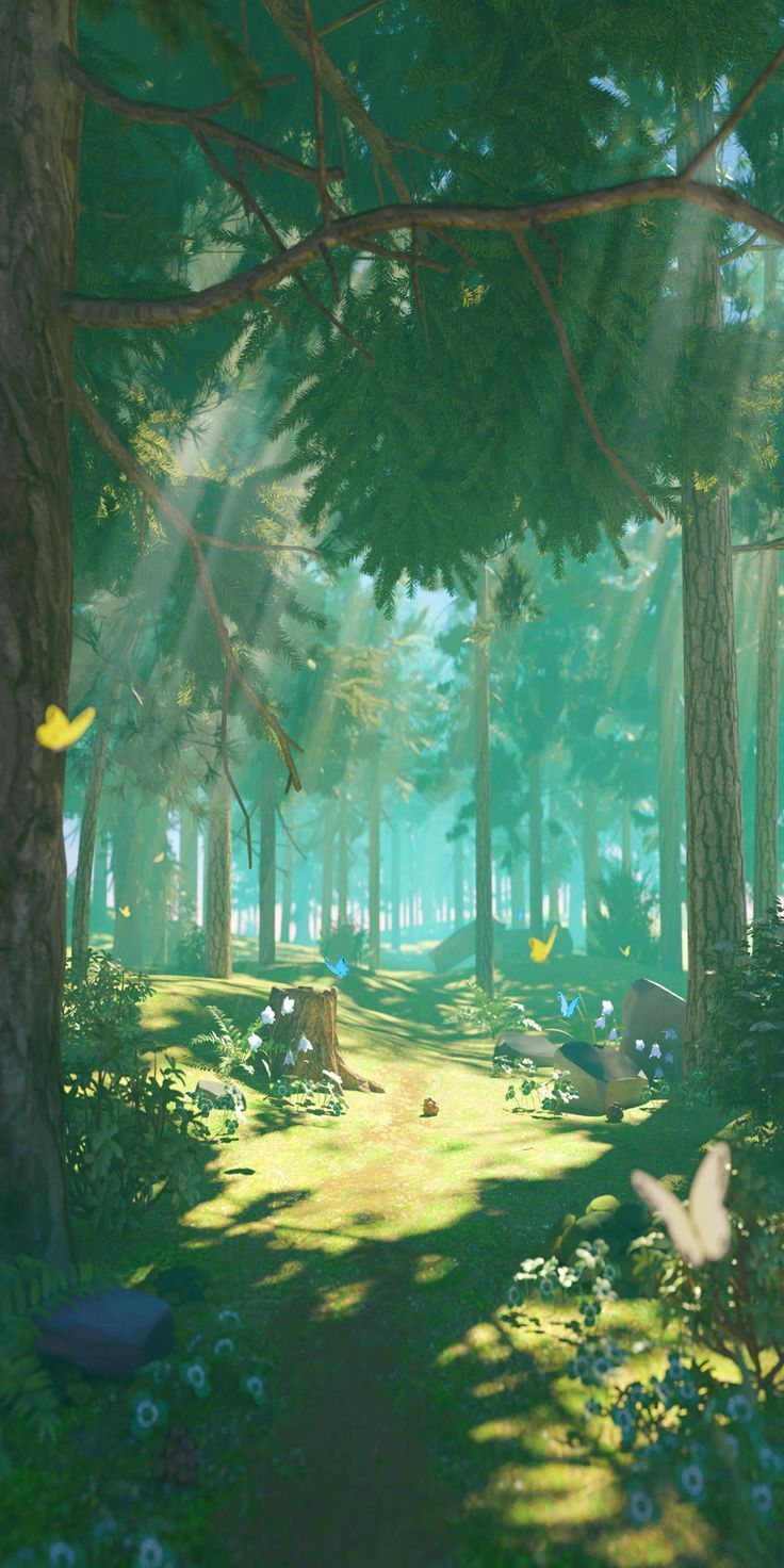 736x1472  Anime Лес на ночных обоях - обои пещера Телефон Обои | PEACKPX