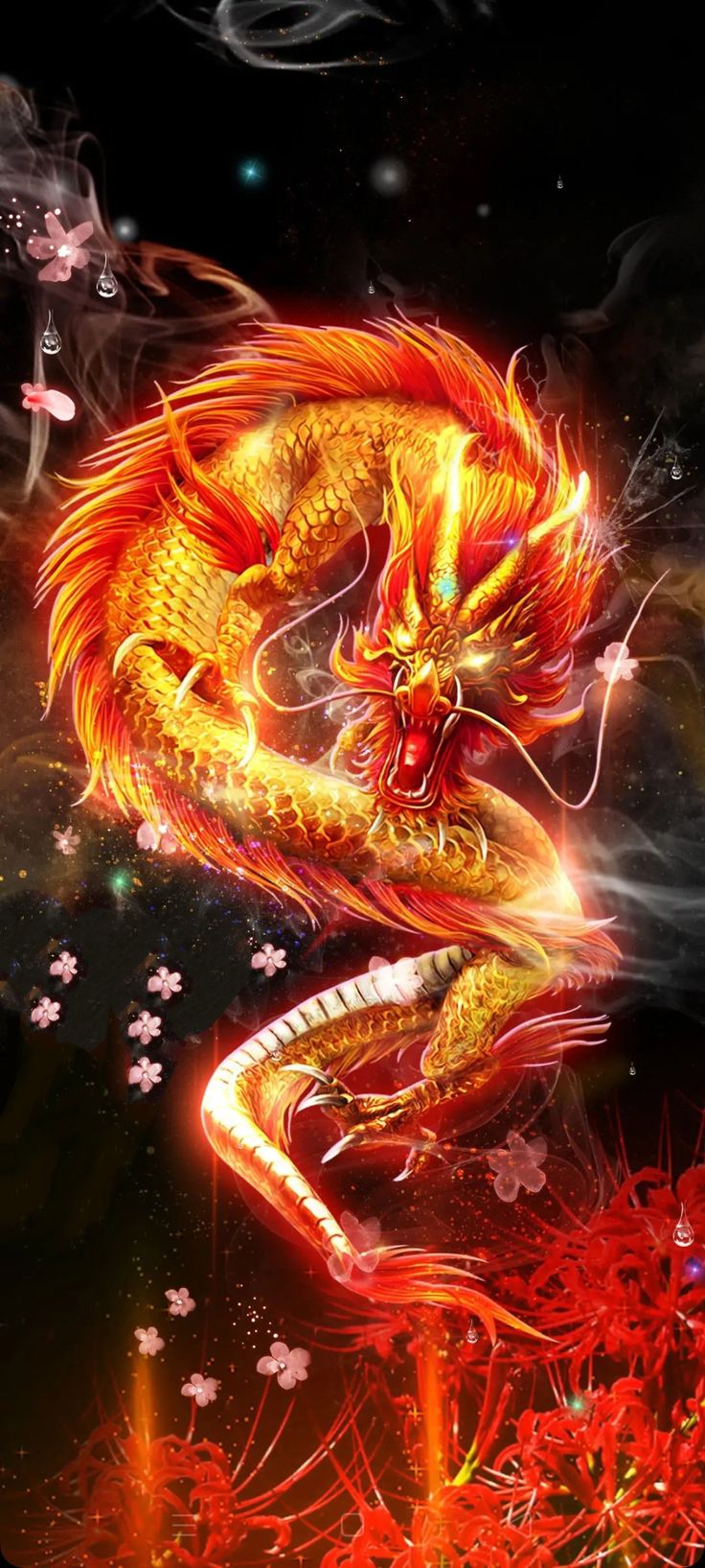 736x1635  epic Anime Dragon Wallpapers на обои, Dog