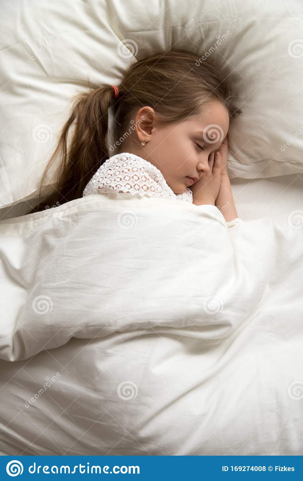 1066x1689  Аниме девушка для спящих рисунок компьютерные кошки HD 4K обои № 8.2914